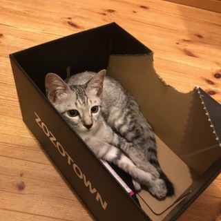 良いご縁に巡り会いました！（露ちゃん）