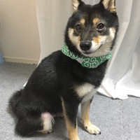 おこめ