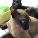 代理ですが…