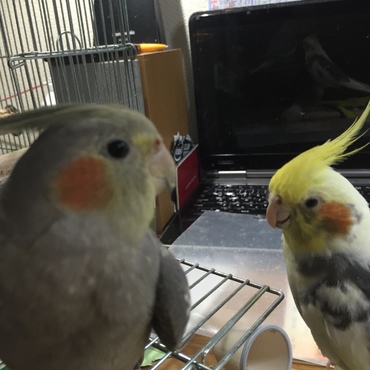 の写真
