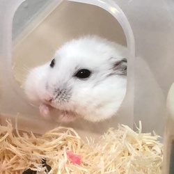 初投稿！Twitterでも人気の画像