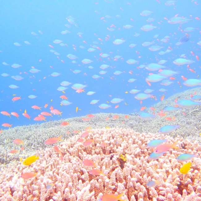 mimi1022のカバー写真