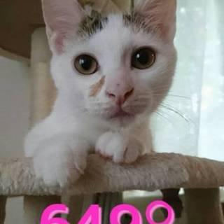 管理番号：OS−649