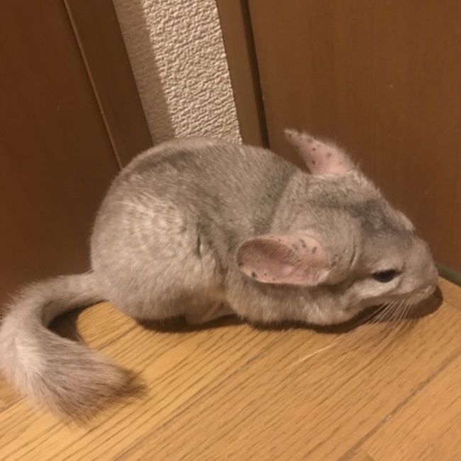 みきなんなんのカバー写真