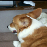 もより