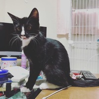 ビビ