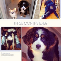 その後のモカฅ՞•ﻌ•՞ฅﾜﾝ♥