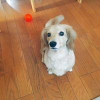 ハナ