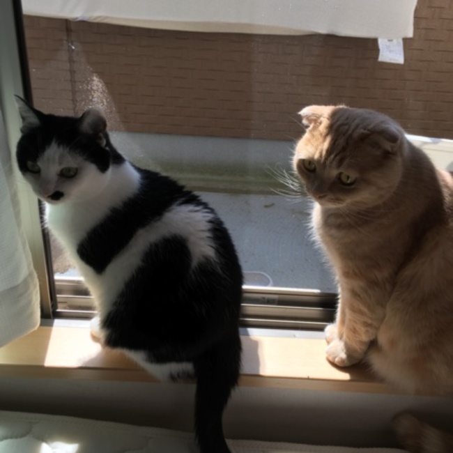 なぁぁぁぁぁぁぁぁのカバー写真