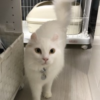 ミルク