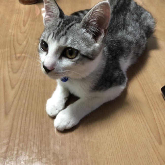 有史と磨利のカバー写真
