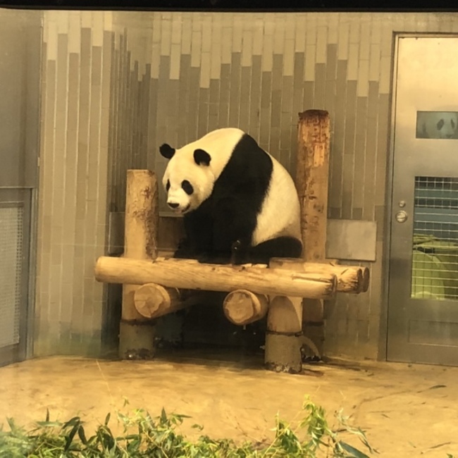 めいれいのカバー写真