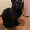 クロ