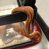 きんぎよそう