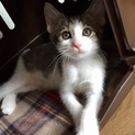 おっとりタイプのかい君❗️