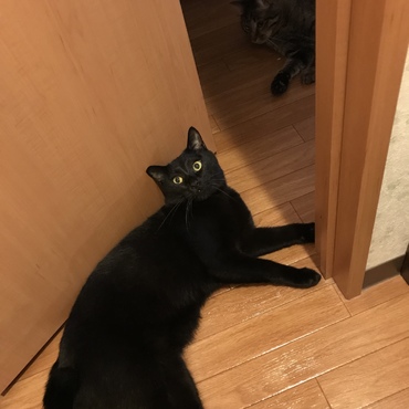 出待ち