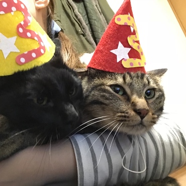 誕生日