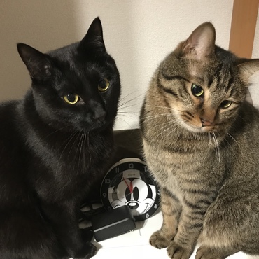 なかよし