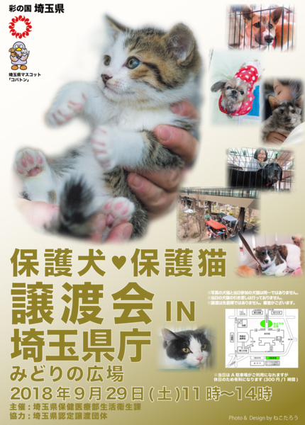埼玉県庁犬猫譲渡会 富士見さくらねこ応援団のイベント 5444 ペットのおうち 月間利用者150万人