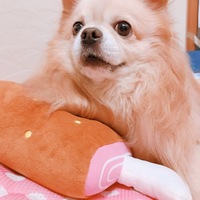 MIMI