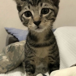 管理番号：OS−662