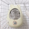 チンチラ里親募集（応募ありがとうございました） サムネイル2