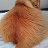 の写真
