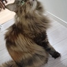 の写真