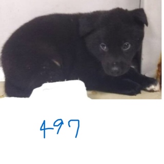 引き出されました。