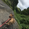 2018.9.15
