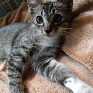 白ソックス履いた男の子