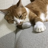 の写真