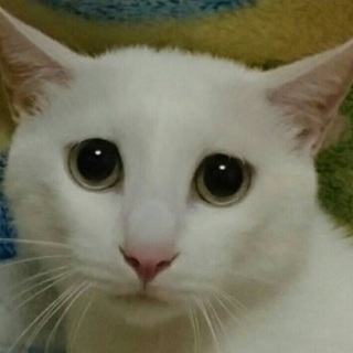 9/23　 馬喰町会場☆はくくん