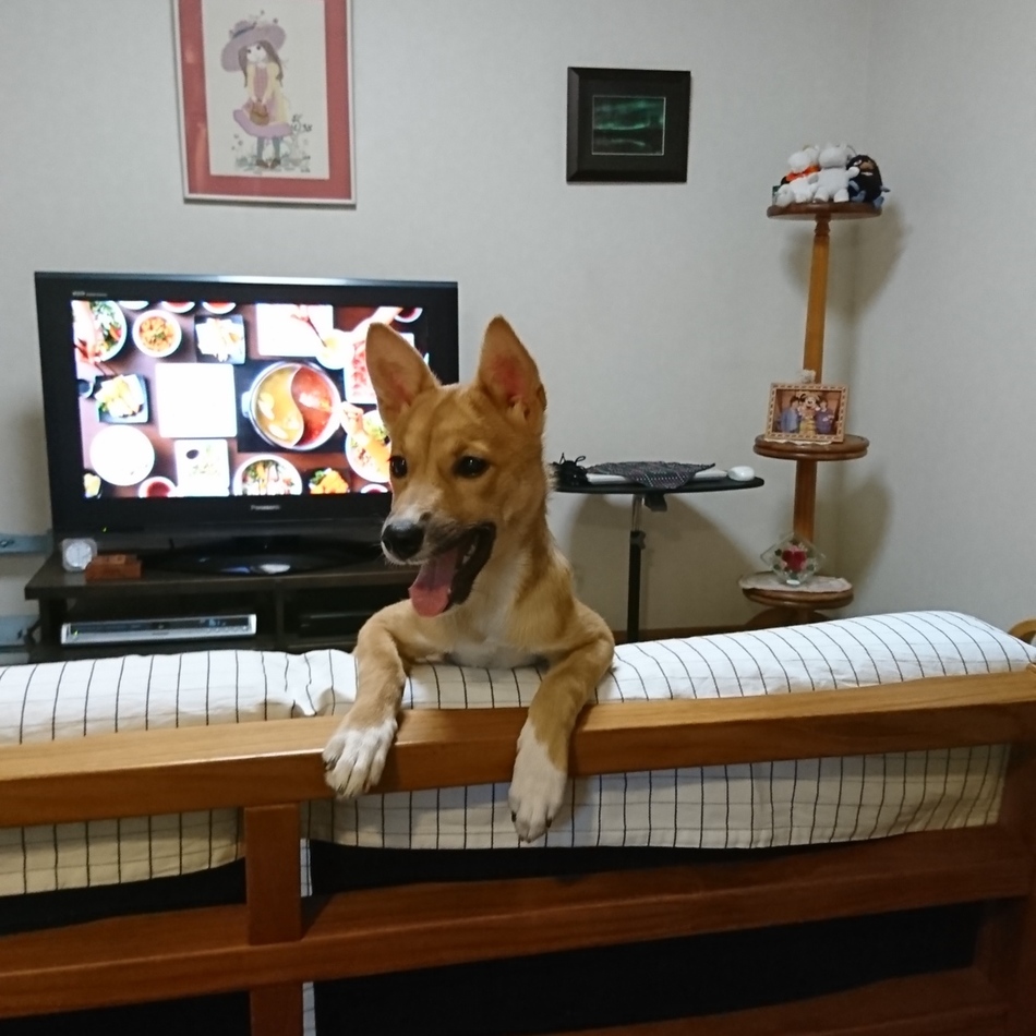 すずのカバー写真