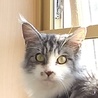 の写真