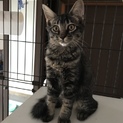 優しい里親に出会えました。