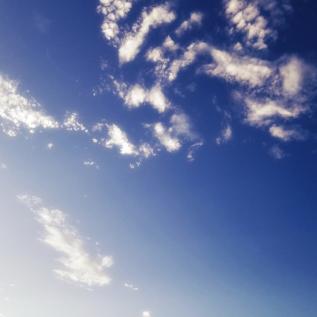 Mi--.のカバー写真