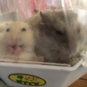 なみを