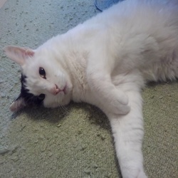 まるくんのかわいいところ