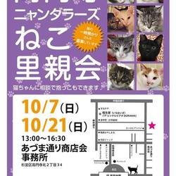 高円寺ニャンダラーズ ねこ里親会