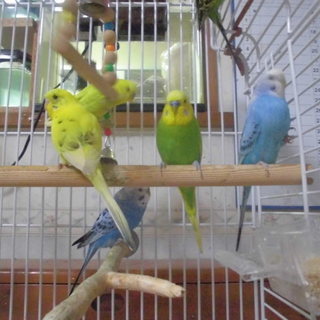 ☆相談中につき募集を停止させて頂きます。