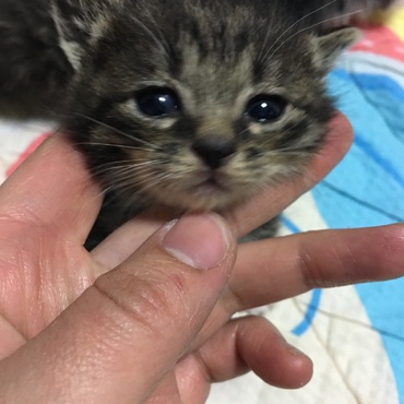 の写真