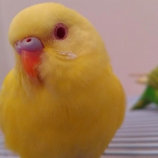 決まりました。ありがとうございます