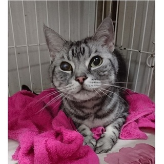 行き場を失ったルーク君