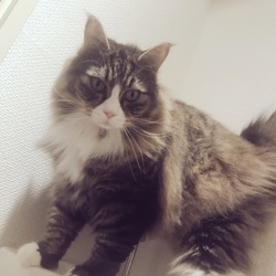 最近のまとめ