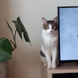 ありがとうございました！