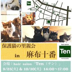 9月25日(火) 地域猫から社会猫へ FIPフリー 麻布十番里親会(ボランティア募集中)