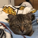 とても人懐っこい耳おれちゃんです