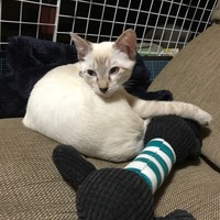 にこ
