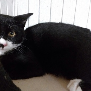 撫で撫で大好きなでん君約４カ月